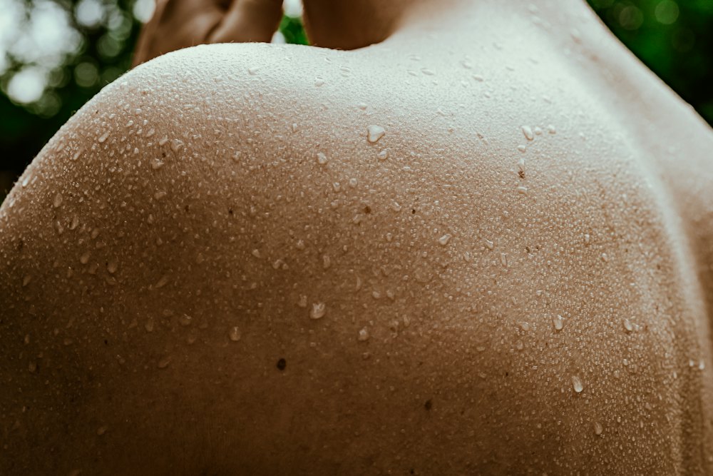 Four Hands Massage detail